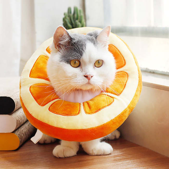 Kawaii Fruit Collar