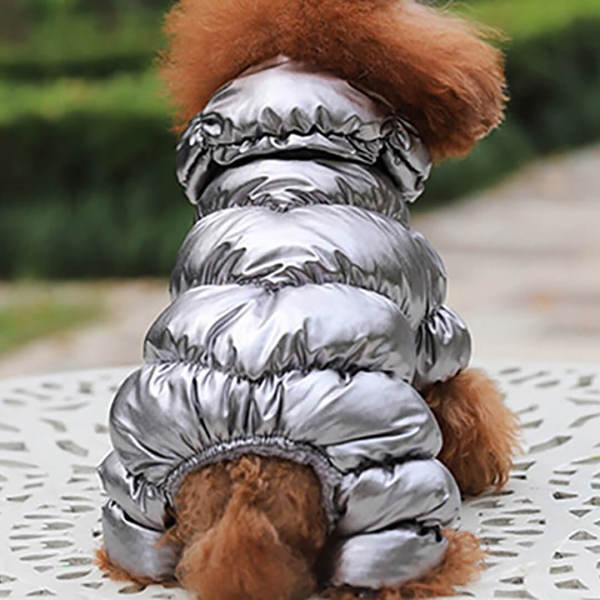 Flashy Snowsuit