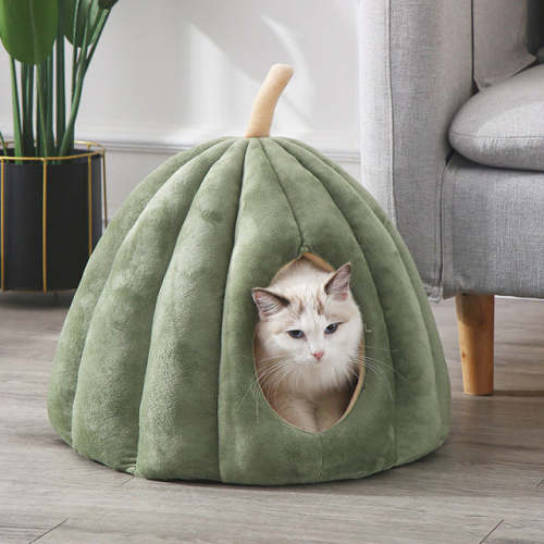 Pumpkin Pet Bed