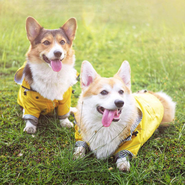 Waterproof Yellow Raincoat