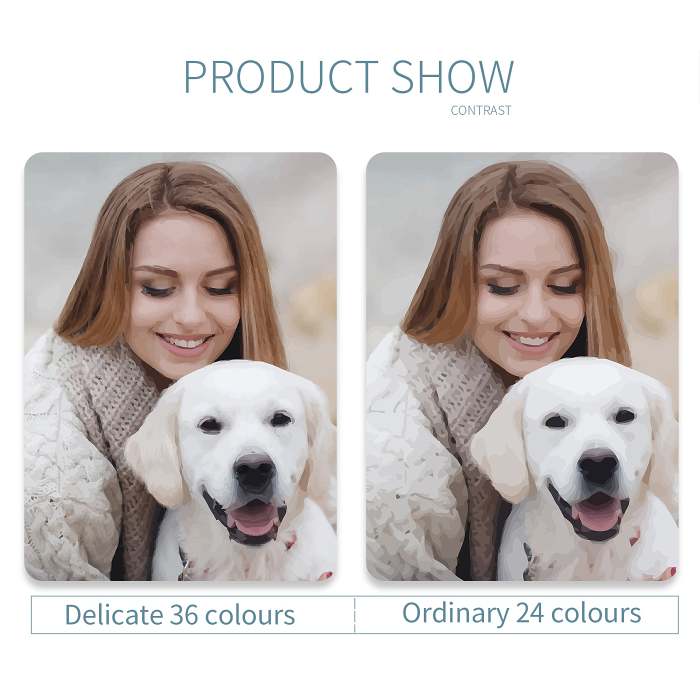 Custom Photo Paint By Numbers Kit