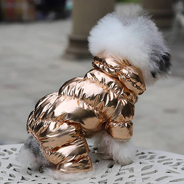 Flashy Snowsuit