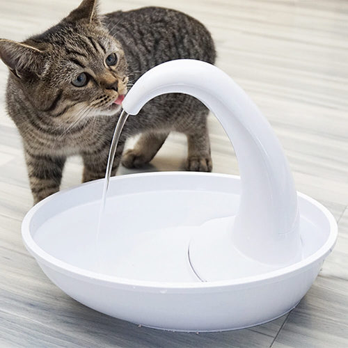 Simple Water Fountain