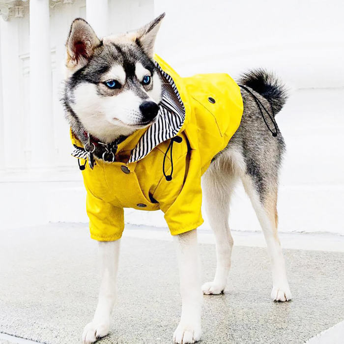 Waterproof Yellow Raincoat