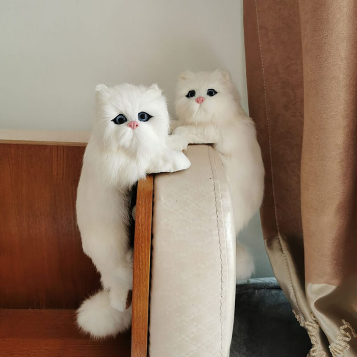 Realistic Cat Decoration