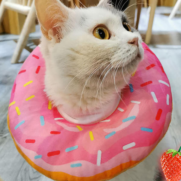 Kawaii Donut Collar