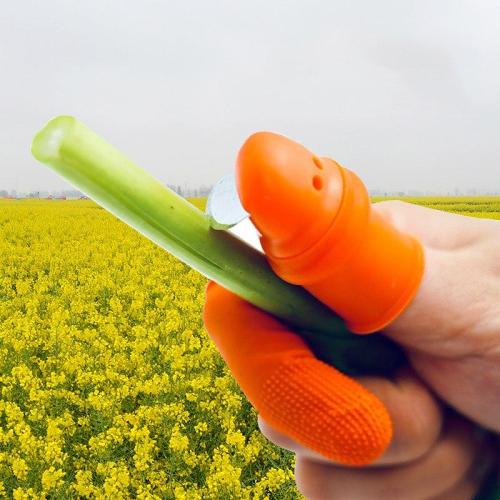 Green Thumbs - Gardening Thumb Knife