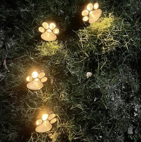 Paw Garden Lights - Paw Print  Solar Lights