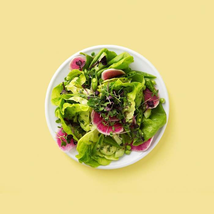 Countertop Vegetables Sprouter - Kitchen Sprouter Growing Kit