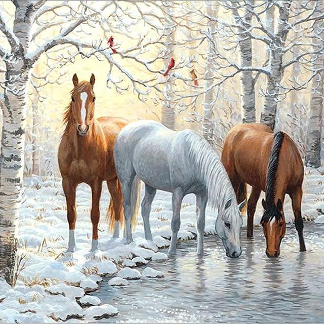 Diamond Painting Kit