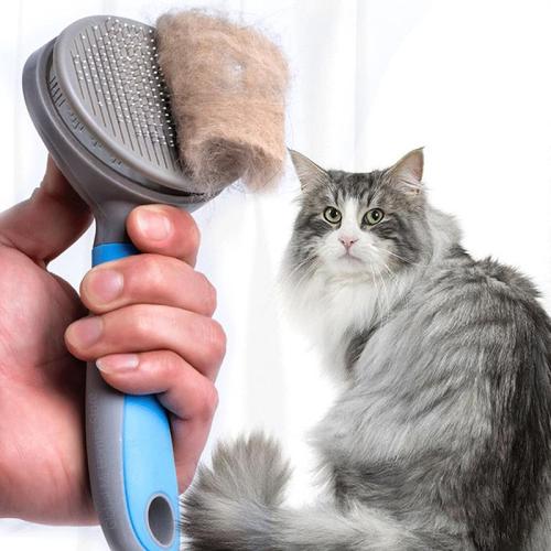 Cat Hair Remover Brush