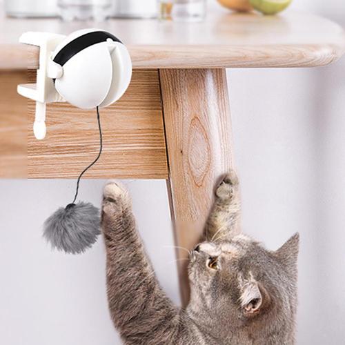 Self Playing Cat Toy