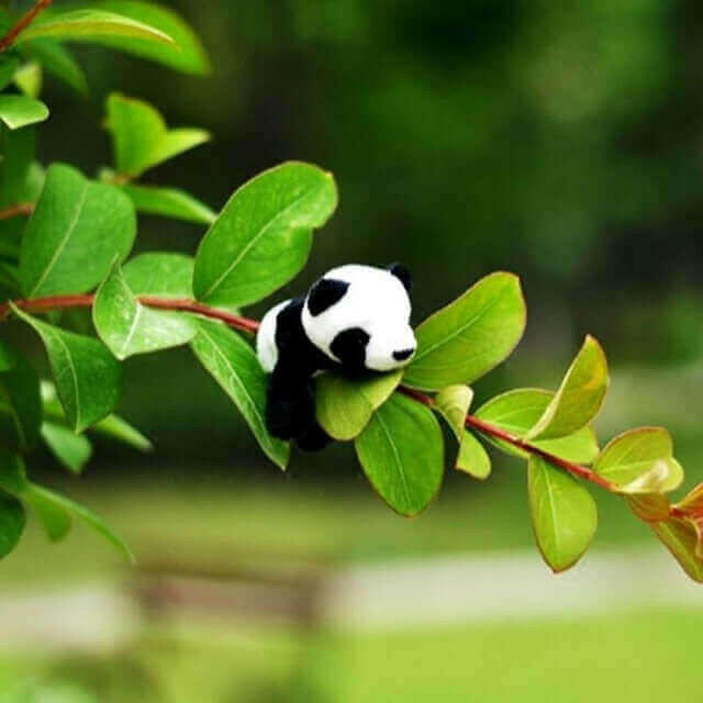 1Pc Panda Fridge Sticker Cute Soft Plush Panda