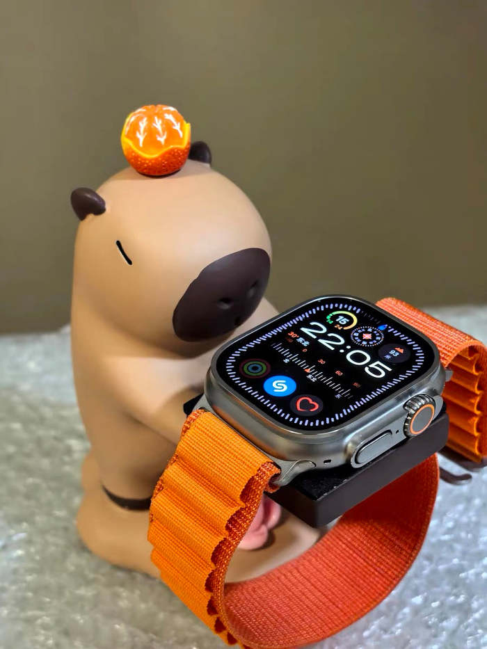 Apple Watch Capybara Charger Holder