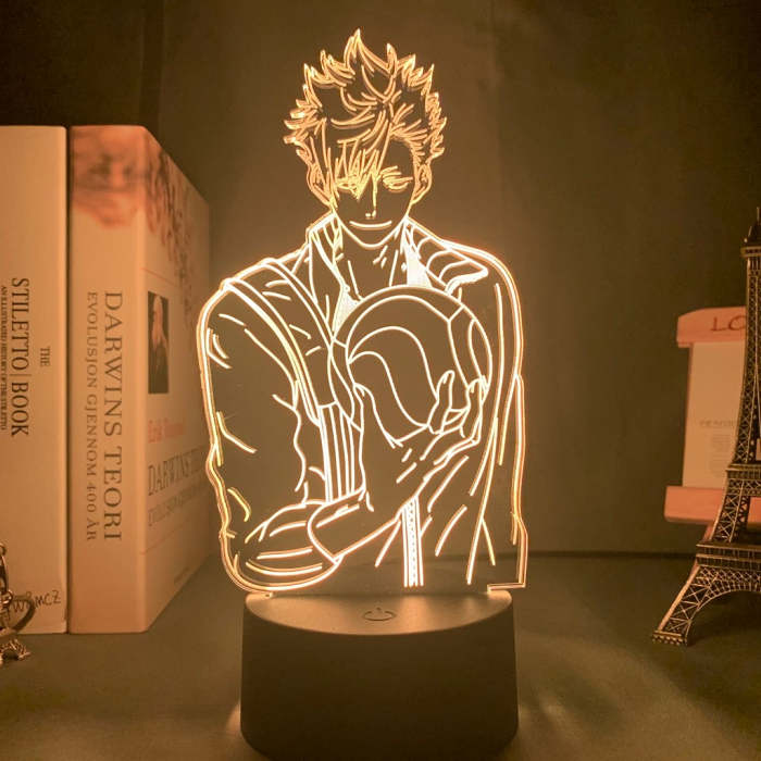 0.5W 5V Optical Acrylic 3D Illusion Figure Shape Night Light