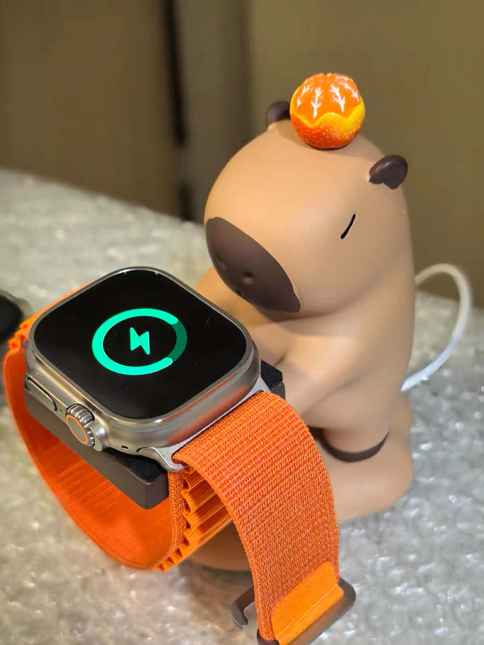 Apple Watch Capybara Charger Holder
