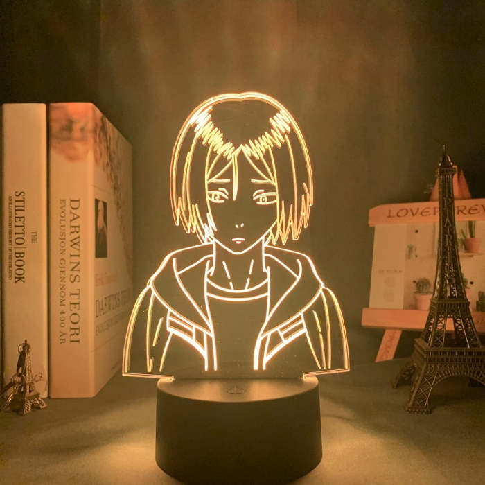 0.5W 5V Optical Acrylic 3D Illusion Figure Shape Night Light