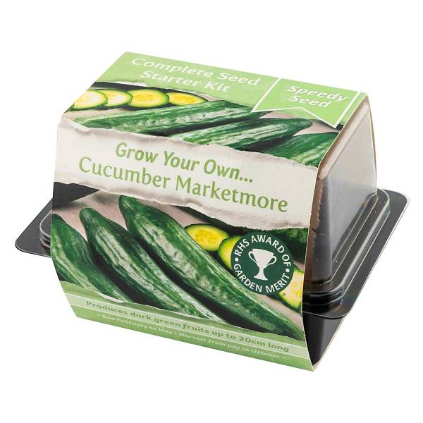 Speedy Seed Grow Your Own Lettuce Starter Kit