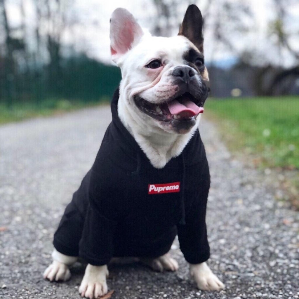pupreme dog clothes