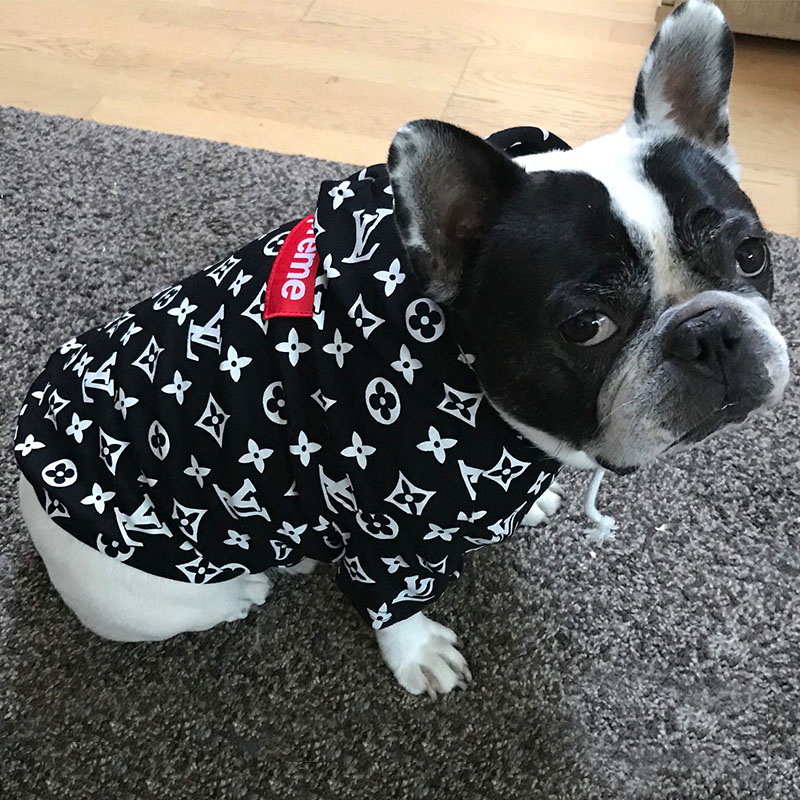 dog hype clothes