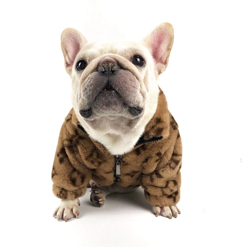 chewy dog coat
