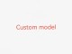 Custom model