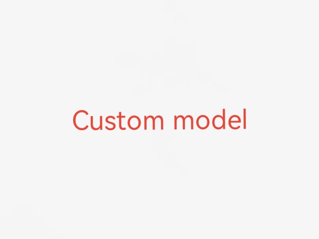 Custom model