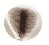 SM157C with ROS Head#132 full silicone doll