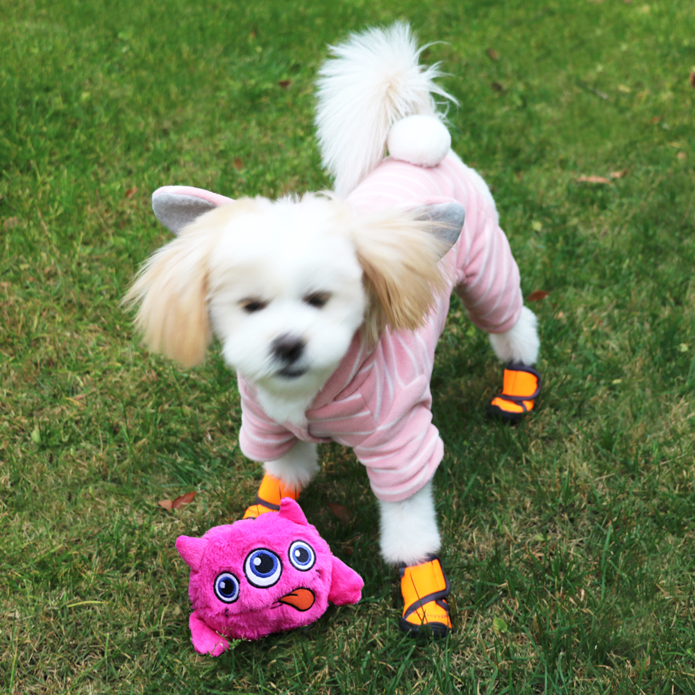 motorized ball dog toy