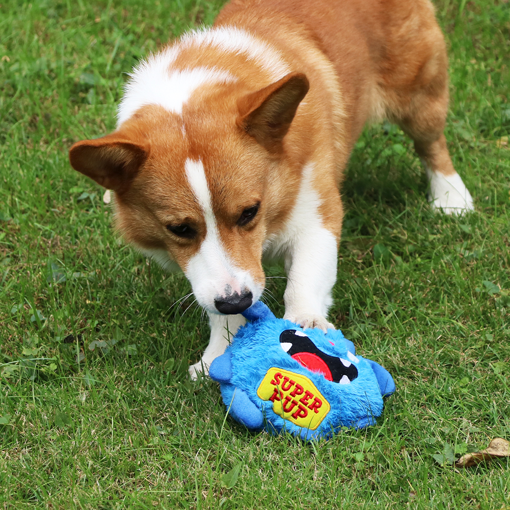 electronic toys for pets