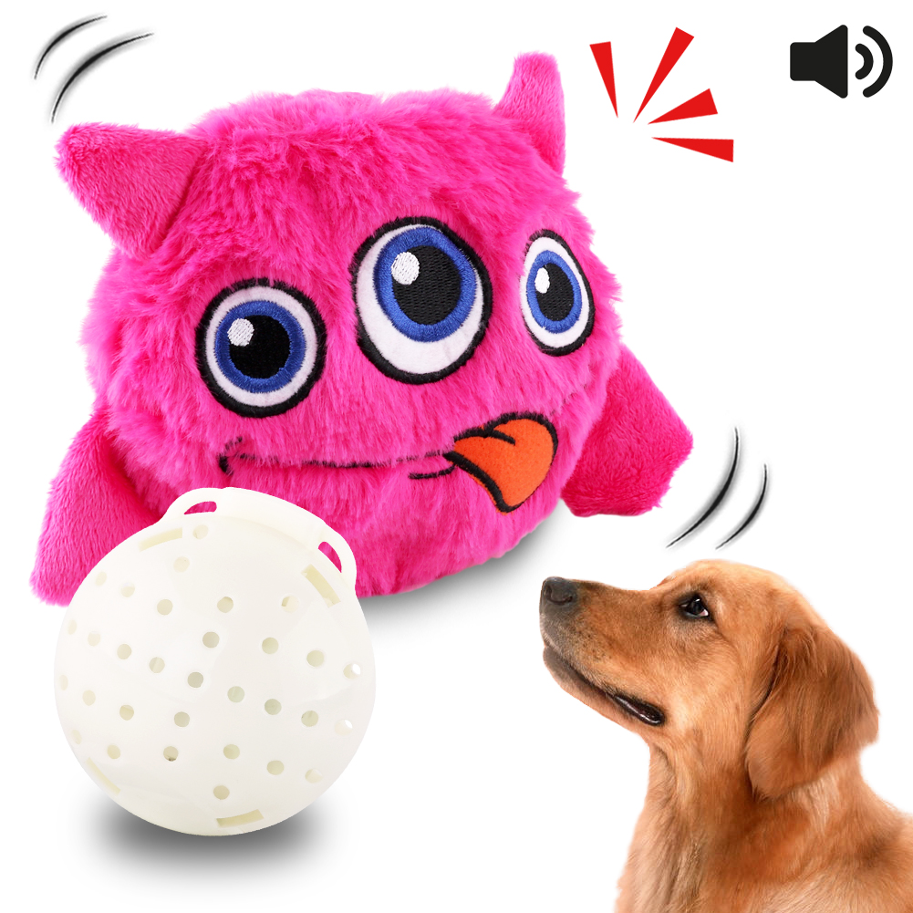 electronic toys for pets