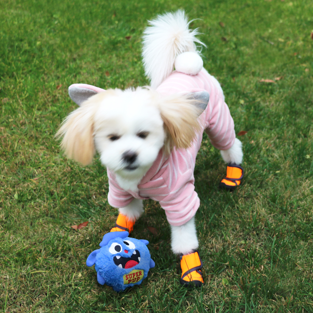 electronic toys for pets