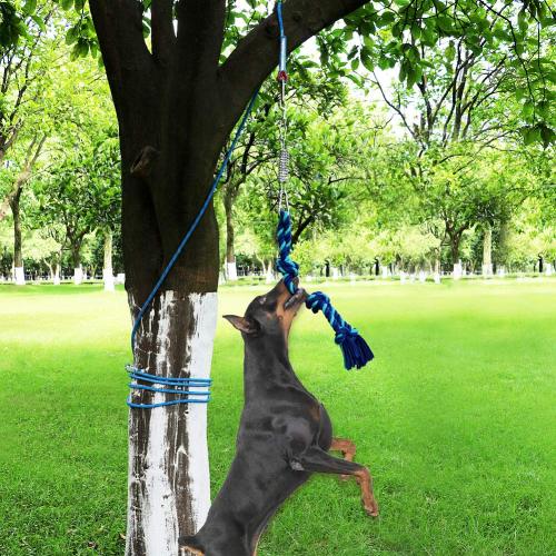 us 19 99 petbobi spring pole dog