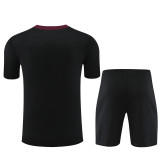 24/25 PSG Adult Training Jersey+Shorts Suit