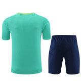 24/25 Brazil Adult Training Jersey+Shorts Suit