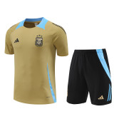 24/25 Argentina Adult Training Jersey+Shorts Suit