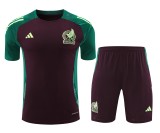 24/25 Mexico Adult Training Jersey+Shorts Suit