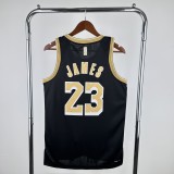 Los Angeles Lakers LeBron James #23 Adult NBA Jersey