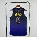 2025 Los Angeles Lakers LeBron James #6 Adult NBA Jersey