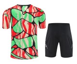 25/26 Arsenal Adult Training Jersey+Shorts Suit
