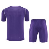 25/26 Real Madrid Adult Training Jersey+Shorts Suit