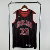2026 Chicago Bulls PIPPEN #33 Adult NBA Jersey