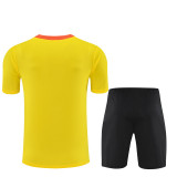 25/26 Brazil Adult Training Jersey+Shorts Suit