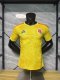Player Version 2026 World Cup Columbia Home Adult Soccer Jersey
