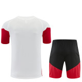 2026 Germany Adult Training Jersey+Shorts Suit
