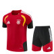 2026 Germany Adult Training Jersey+Shorts Suit