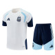 2026 Argentina Adult Training Jersey+Shorts Suit