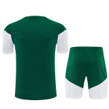 2026 Italy Adult Training Jersey+Shorts Suit