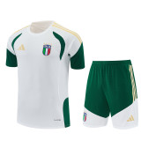 2026 Italy Adult Training Jersey+Shorts Suit
