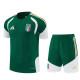 2026 Italy Adult Training Jersey+Shorts Suit